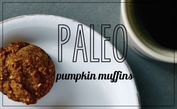 Paleo Pumpkin Muffins // THE HIVE 